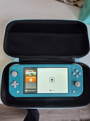 Nintendo switch lite - lite, with